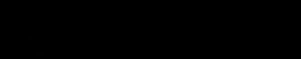 CW Systems logo