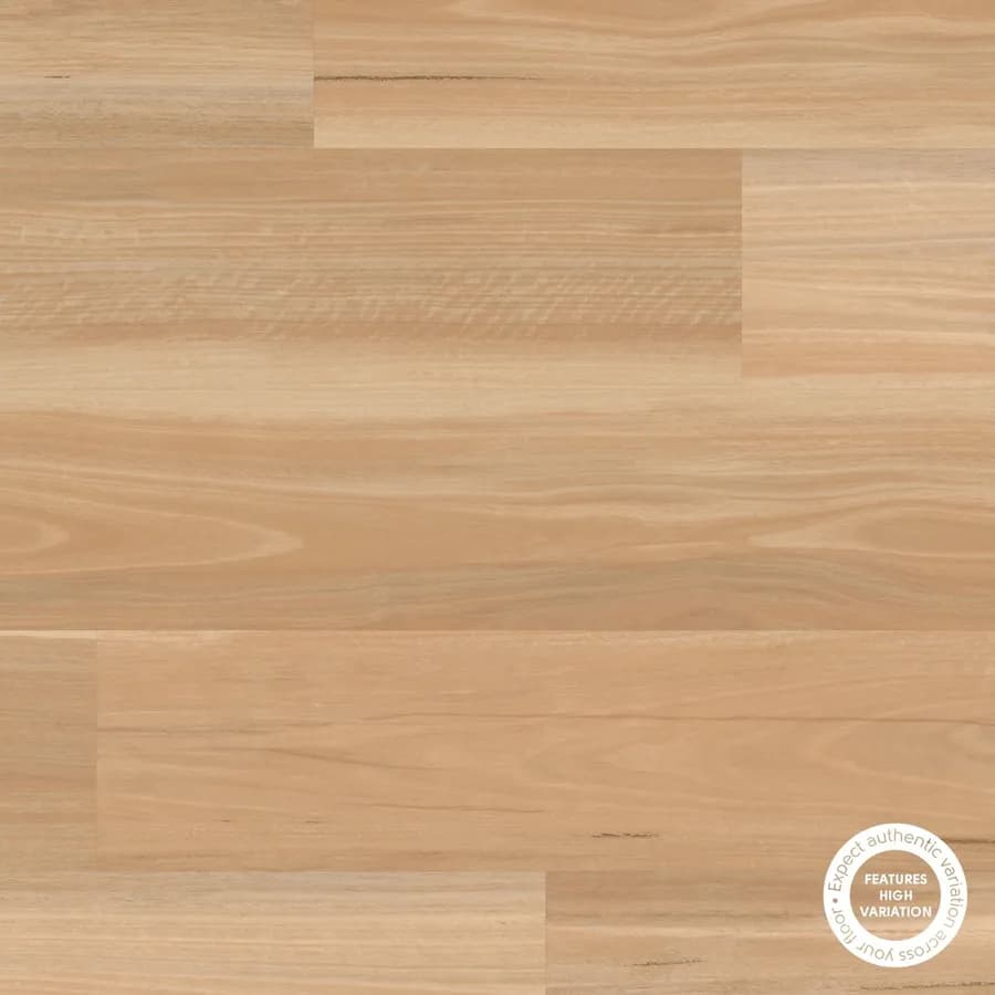 Light Spotted Gum Korlok flooring swatch