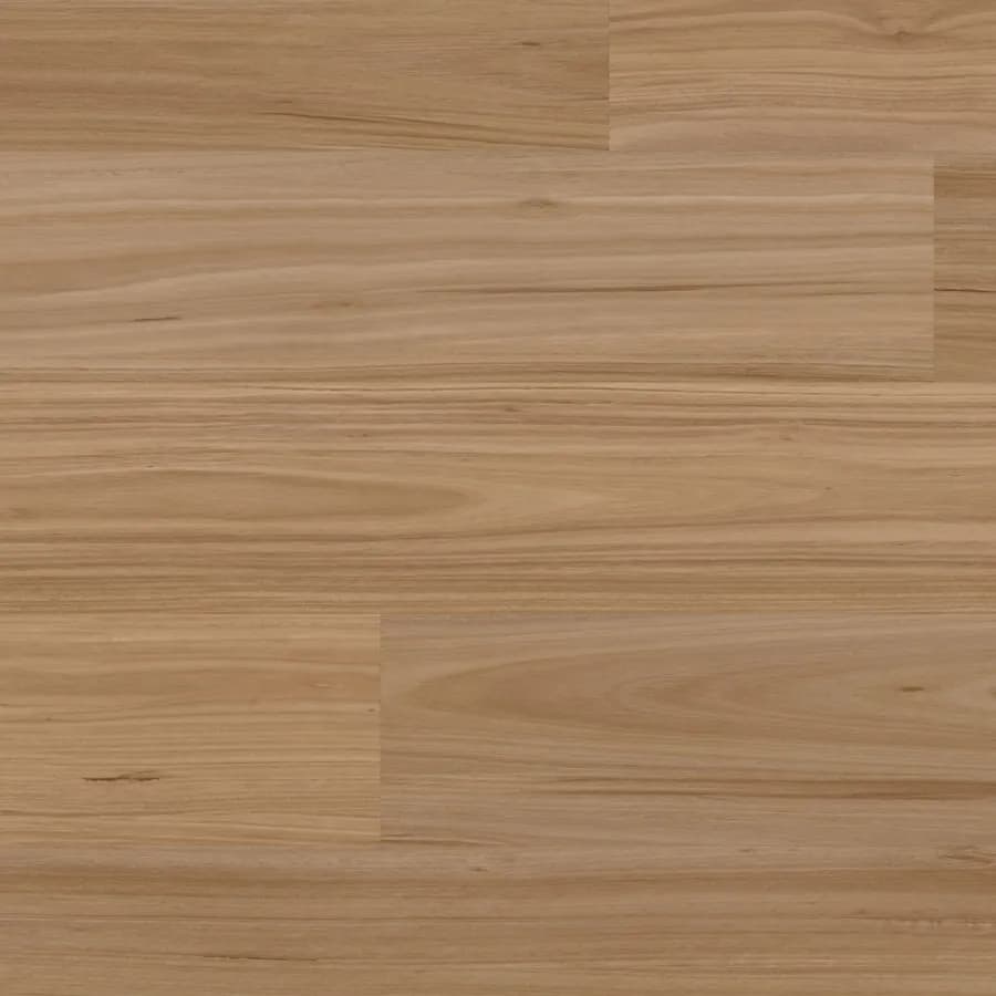 Natural Fiddleback Blackbutt Korlok flooring swatch
