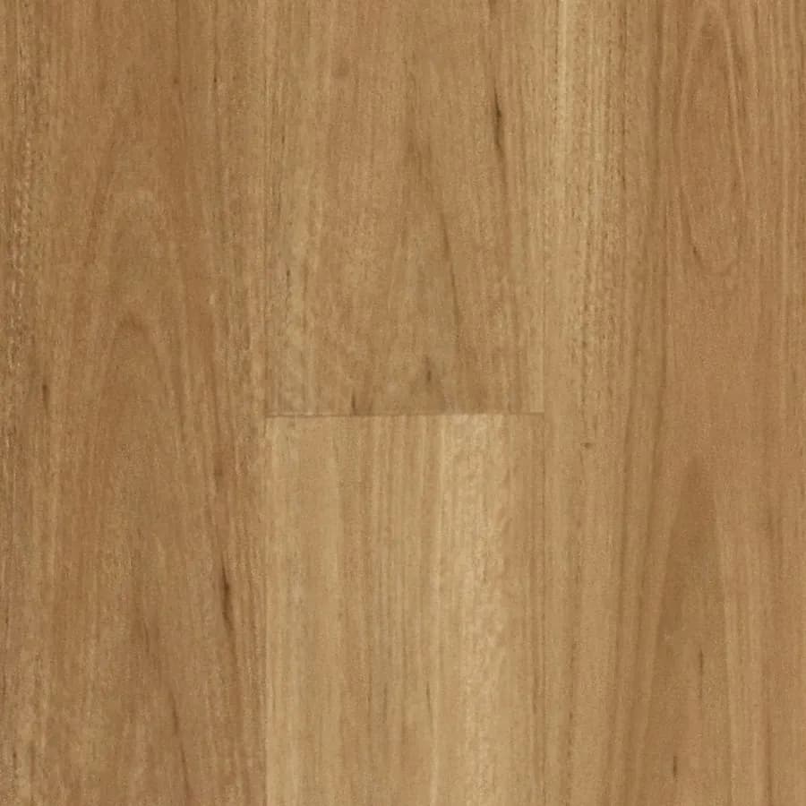 Blackbutt Hydroplank flooring swatch