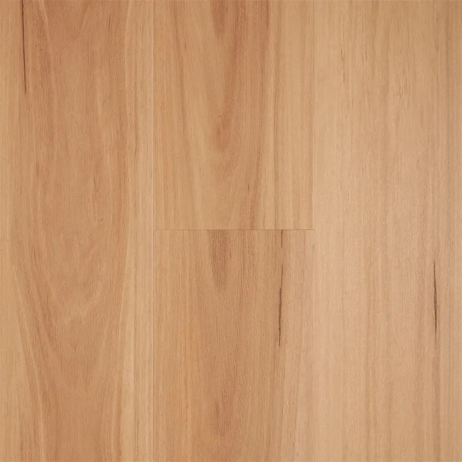 Blackbutt Iconic flooring swatch