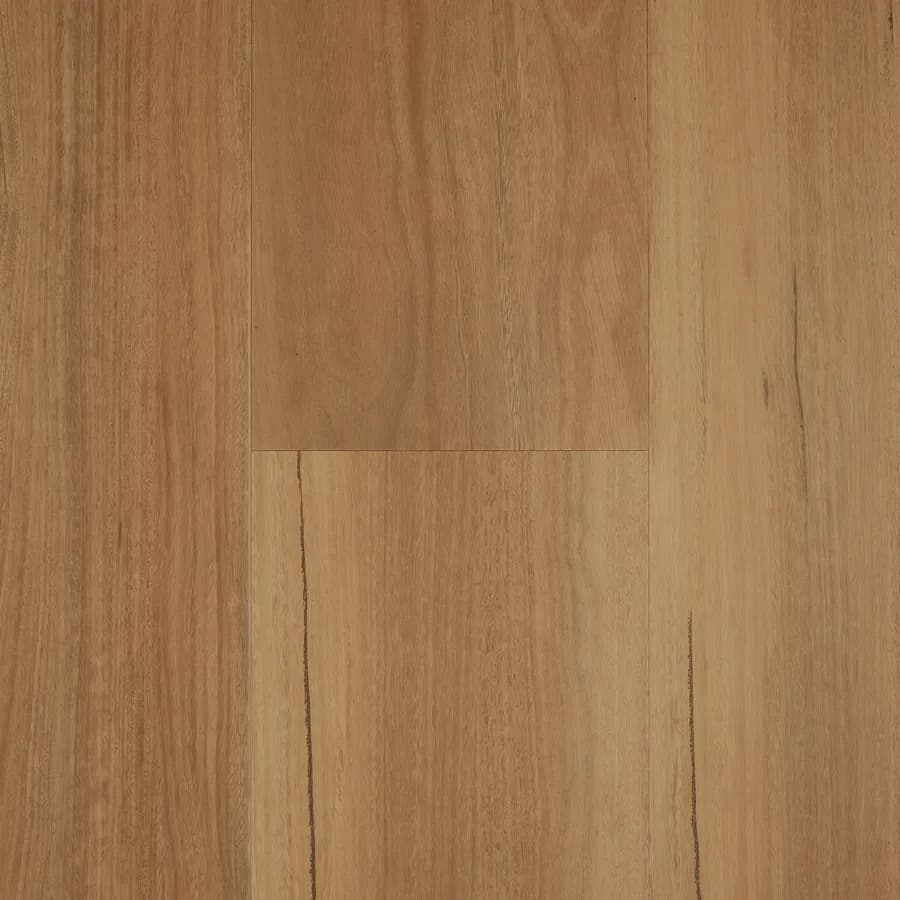Spotted Gum Lifestyle flooring swatch