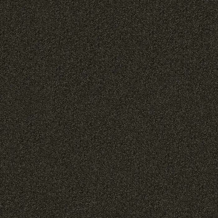 Iron Gate Domain Rise flooring swatch