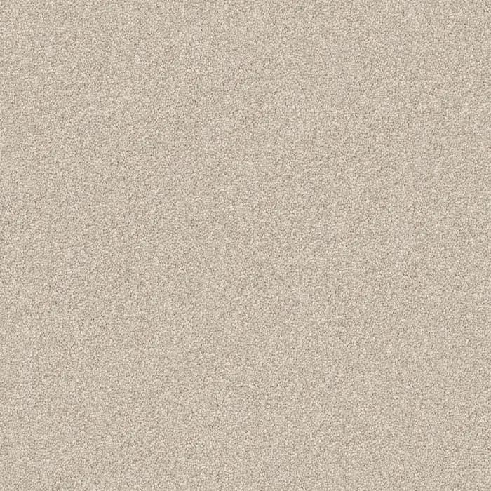 Toasted Coconut Domain Rise flooring swatch