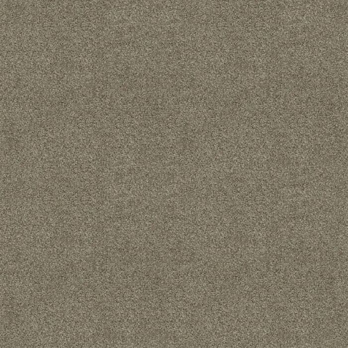 Acorn Silk Cloud flooring swatch
