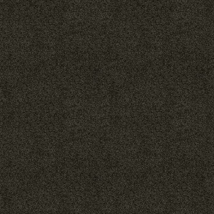 Coal Silk Cloud flooring swatch