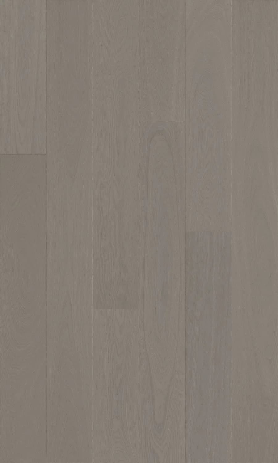 Dover European Ash flooring swatch
