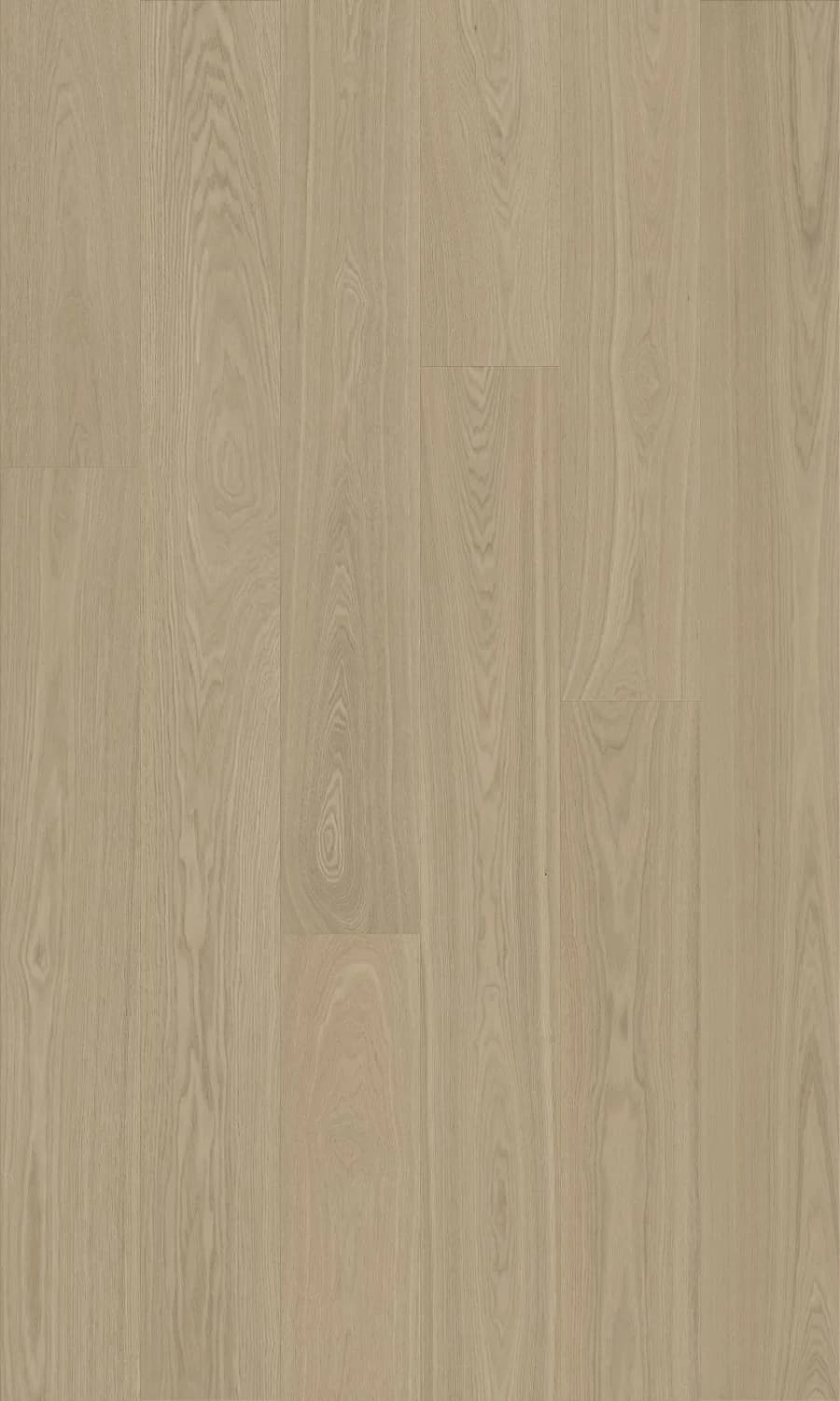 Florence European Ash flooring swatch