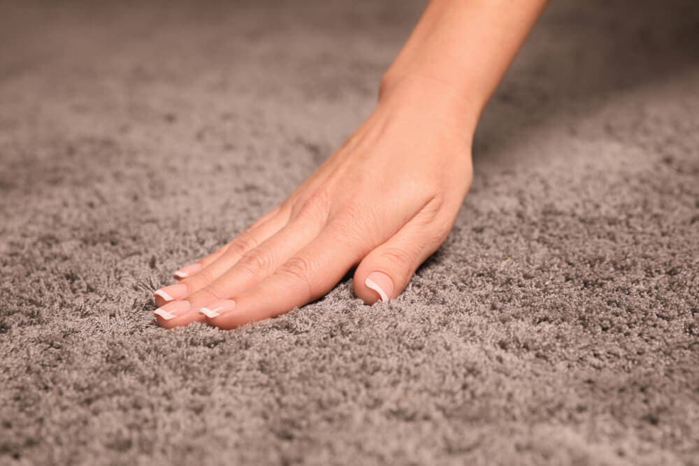 5 Myths About Wool Carpets That Could Be Costing You Comfort