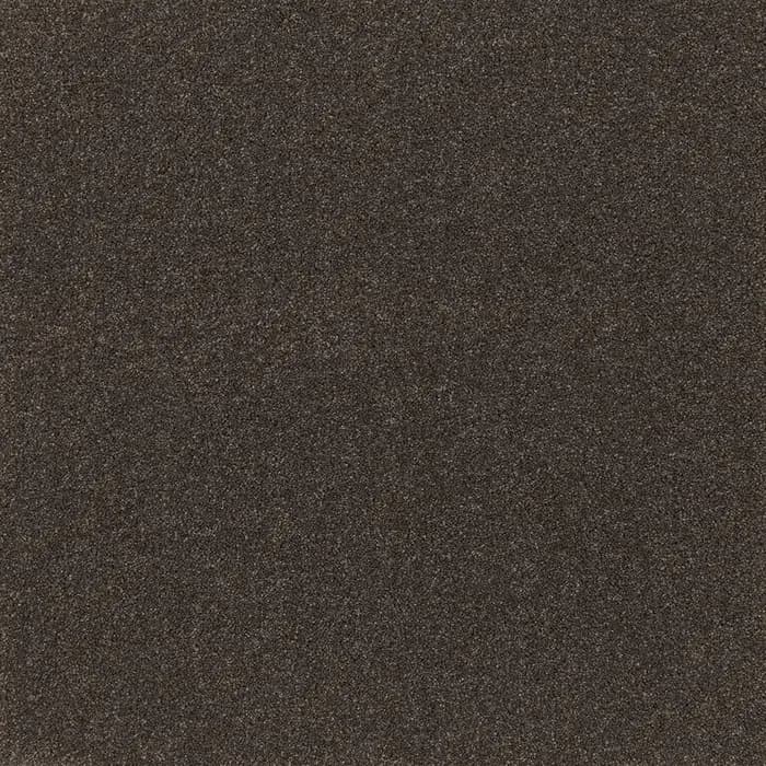 Contentment Coco Bliss flooring swatch