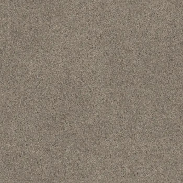 Birchwood Bailey flooring swatch