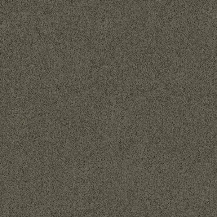 Regime Essington flooring swatch