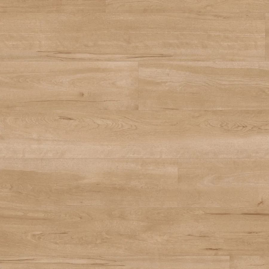 Birch Van Gogh Gluedown flooring swatch