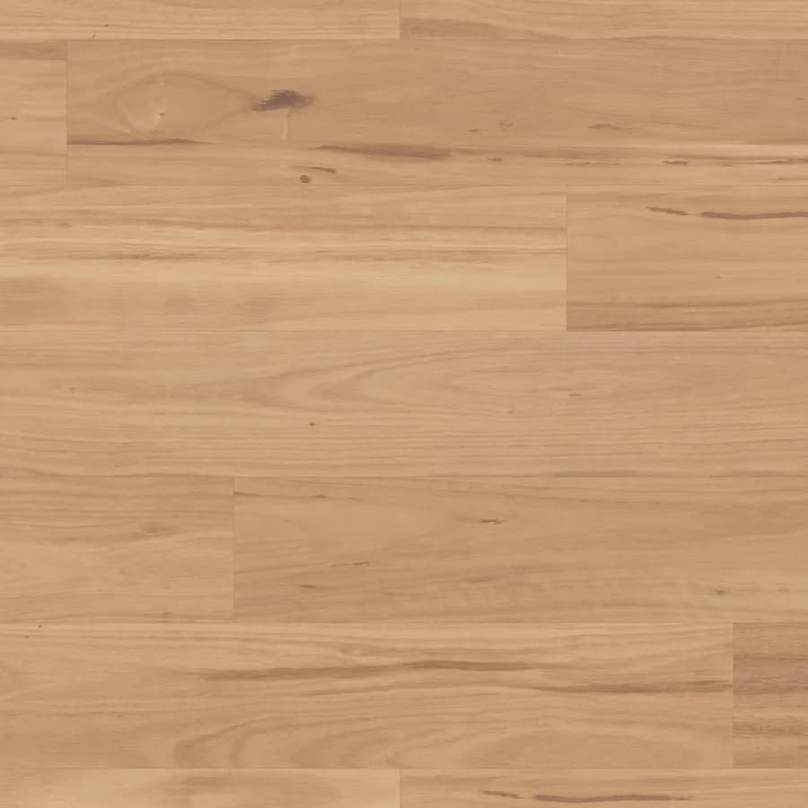 Eastern Blackbutt Van Gogh Gluedown flooring swatch