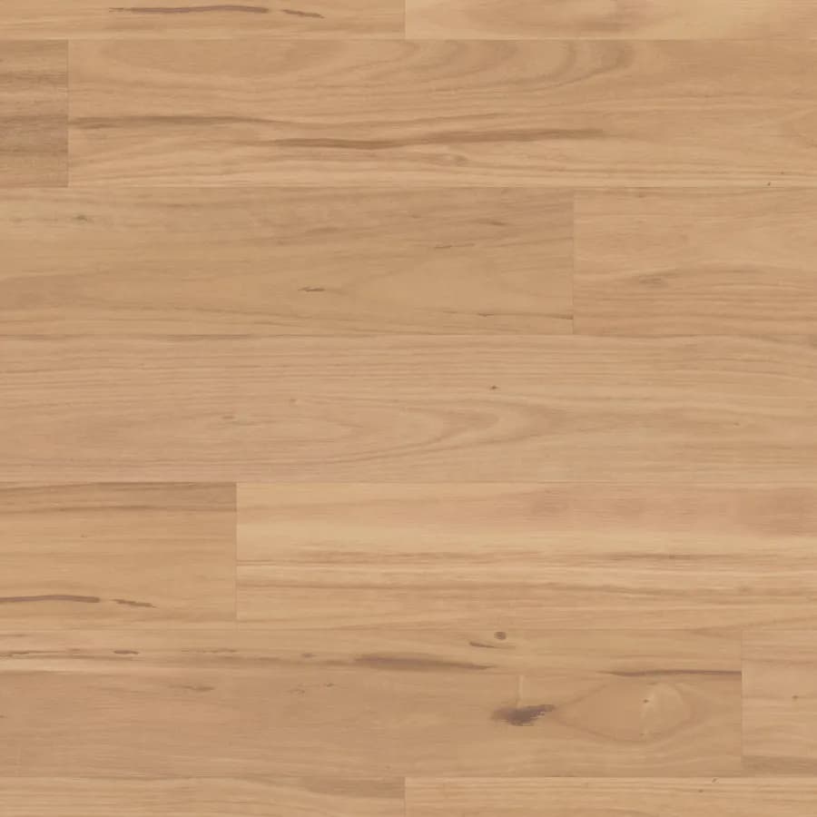 Eastern Blackbutt Van Gogh Rigid Core flooring swatch