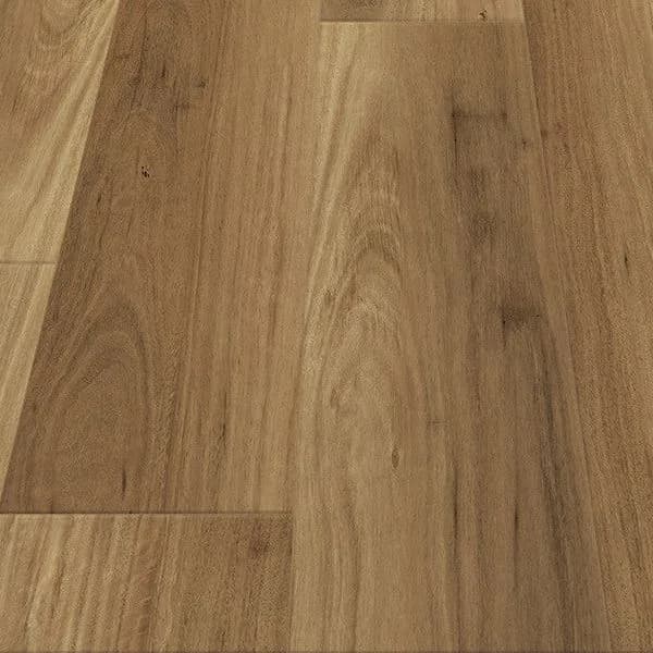 Frontier Blackbutt Calloway flooring swatch