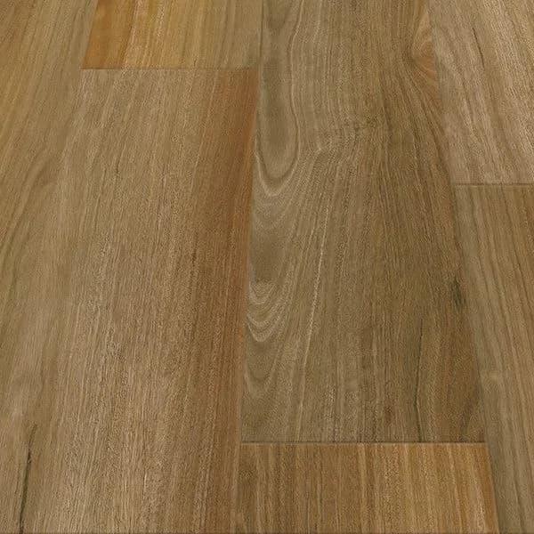 Junction Spotted Gum Calloway flooring swatch