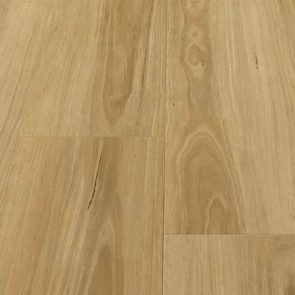 Mellow Blackbutt 557 Stella flooring swatch