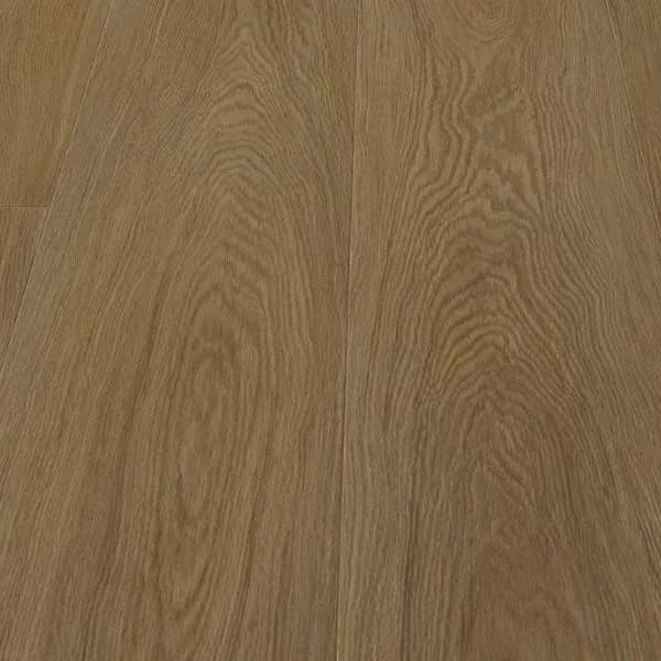 Regal Oak 556 Stella flooring swatch