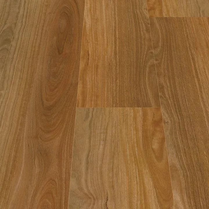 Ernest Spotted Gum Tranquility flooring swatch