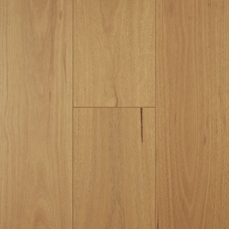 Blackbutt Aspect flooring swatch