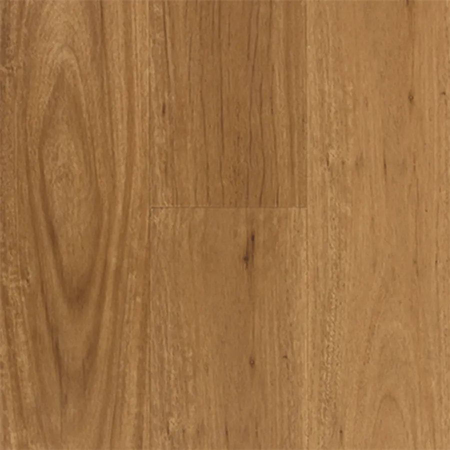 Coastal Blackbutt Aspire flooring swatch