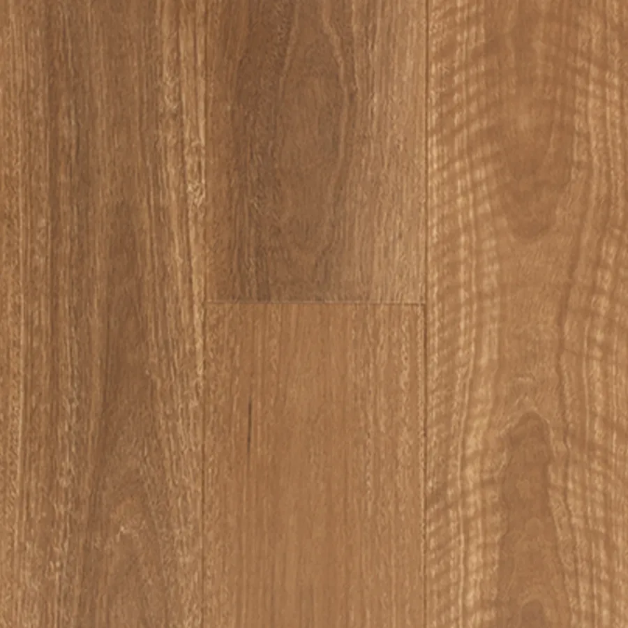 QLD Spotted Gum Aspire flooring swatch