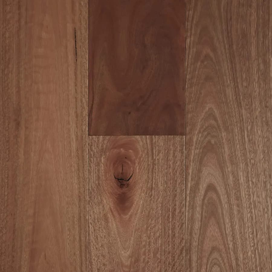 Spotted Gum Fiddleback flooring swatch