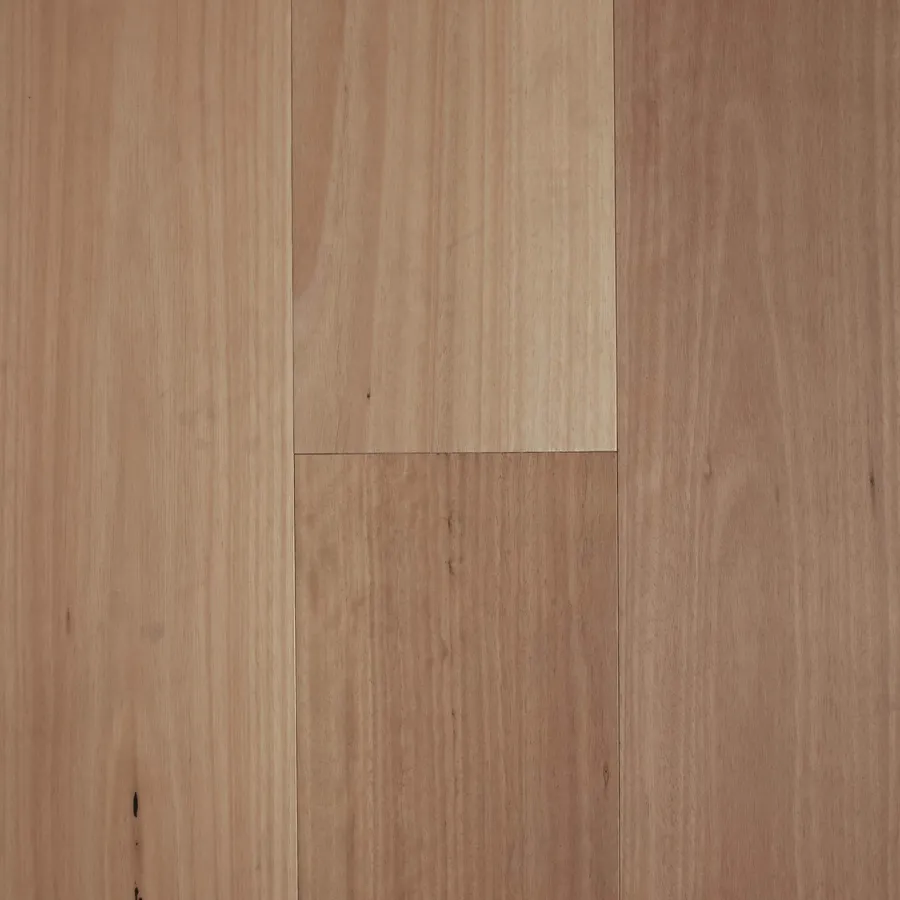 Blackbutt Fiddleback flooring swatch