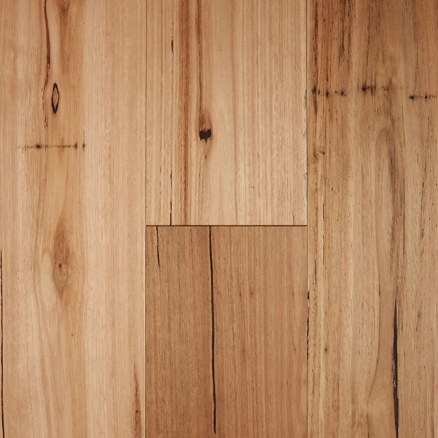 Rustic Blackbutt Fiddleback flooring swatch