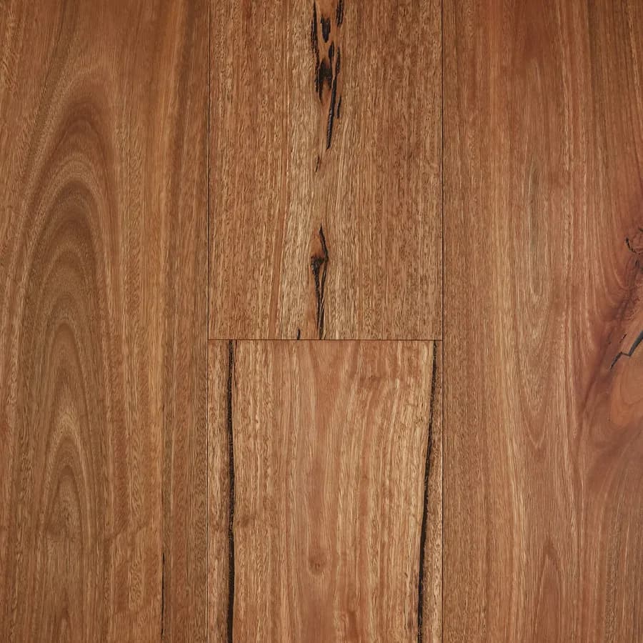 Rustic Spotted Gum Fiddleback flooring swatch
