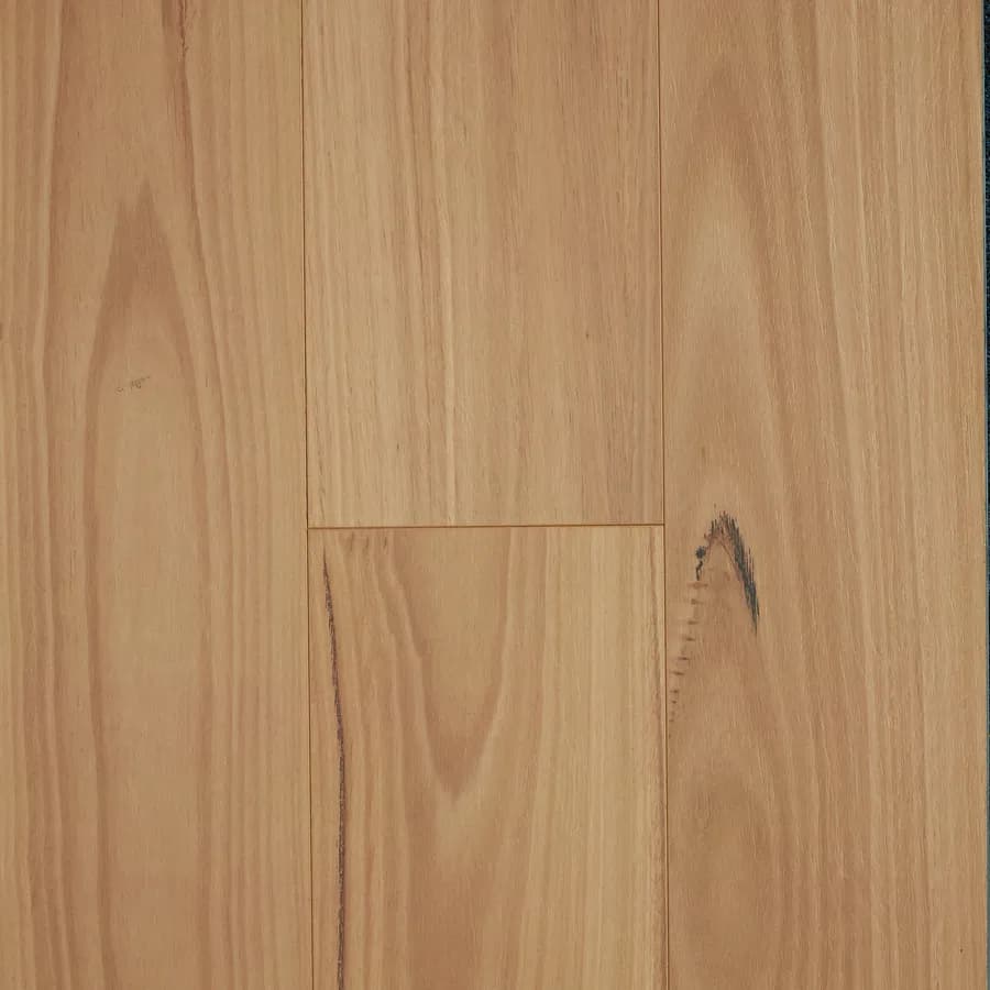 Blackbutt Oakleaf HD PLUS flooring swatch