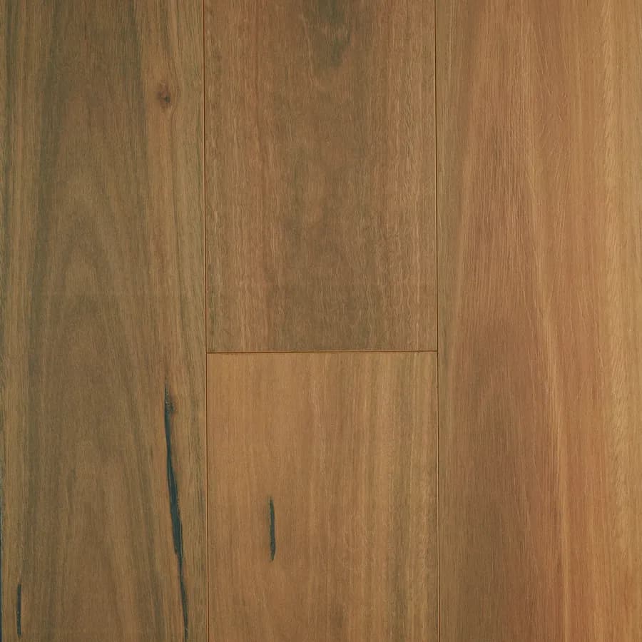 Spotted Gum Oakleaf HD PLUS flooring swatch