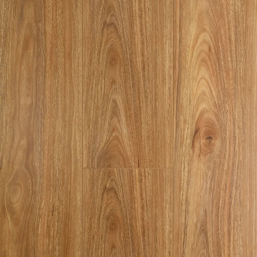 Spotted Gum Oakleaf flooring swatch