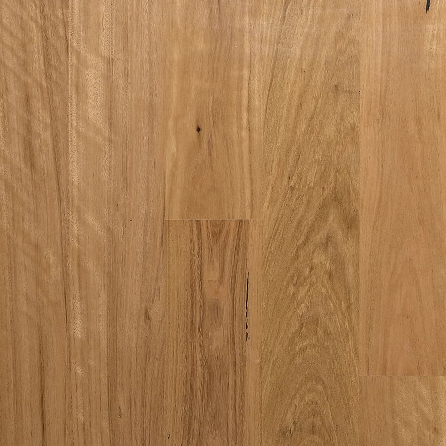 MB Blackbutt Select Australian flooring swatch