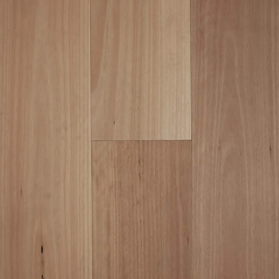 Brushed Blackbutt Select Australian flooring swatch