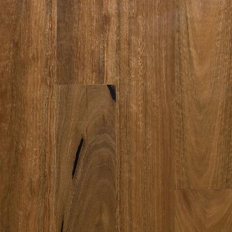 MB Spotted Gum Select Australian flooring swatch