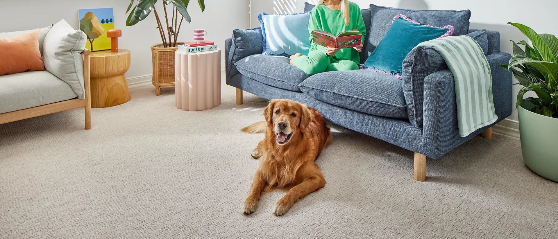 Classic Contours — living room, blue sofa, dog on cream carpet