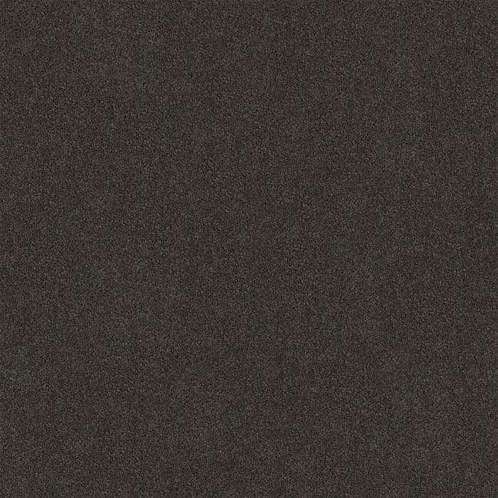 Black Trend Darling Cove flooring swatch