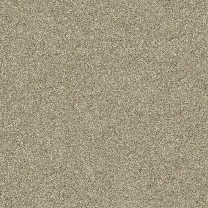 Cargo Stipple Darling Cove flooring swatch