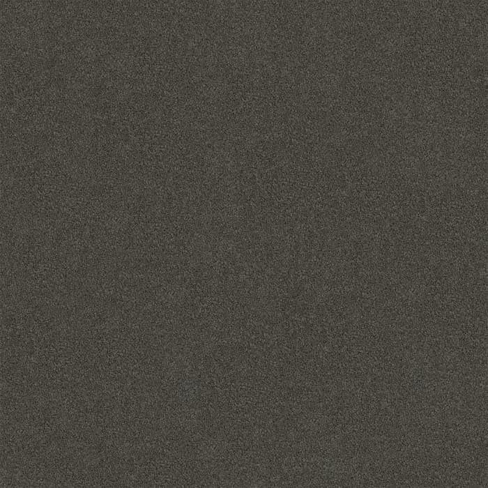 Domino Darling Cove flooring swatch