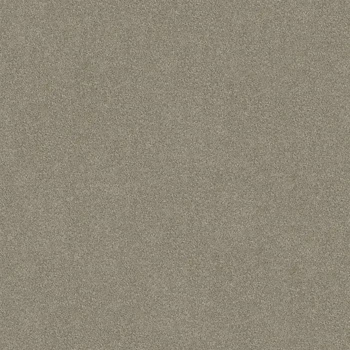 Grey Tint Darling Cove flooring swatch