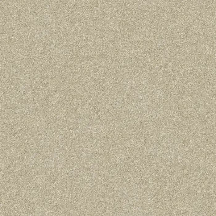 Peanut Stipple Darling Cove flooring swatch