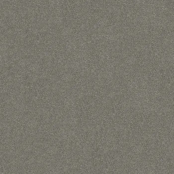 Silver Blade Darling Cove flooring swatch