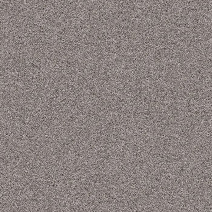 Temple Grey Endless Charm flooring swatch