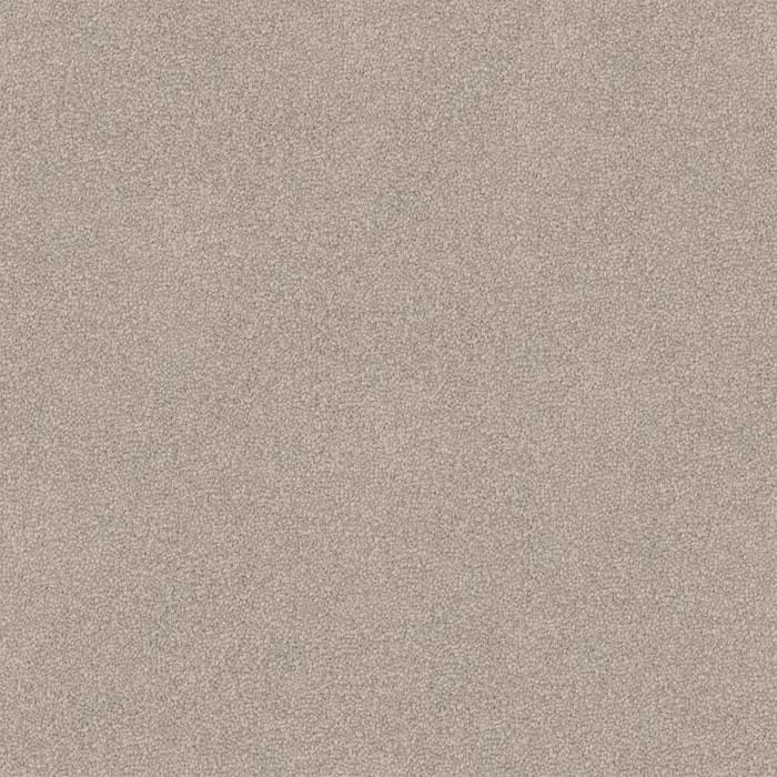 Beige Buff Entertaining flooring swatch
