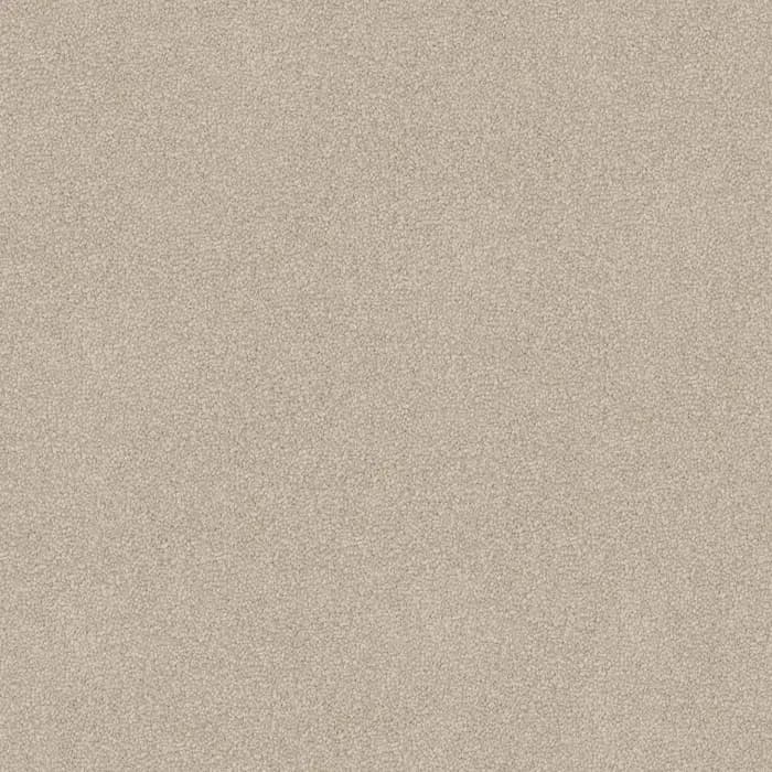 Chamois Entertaining flooring swatch