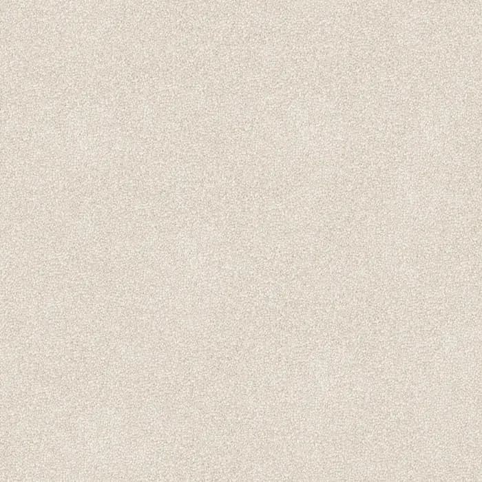 Light Beige Entertaining flooring swatch