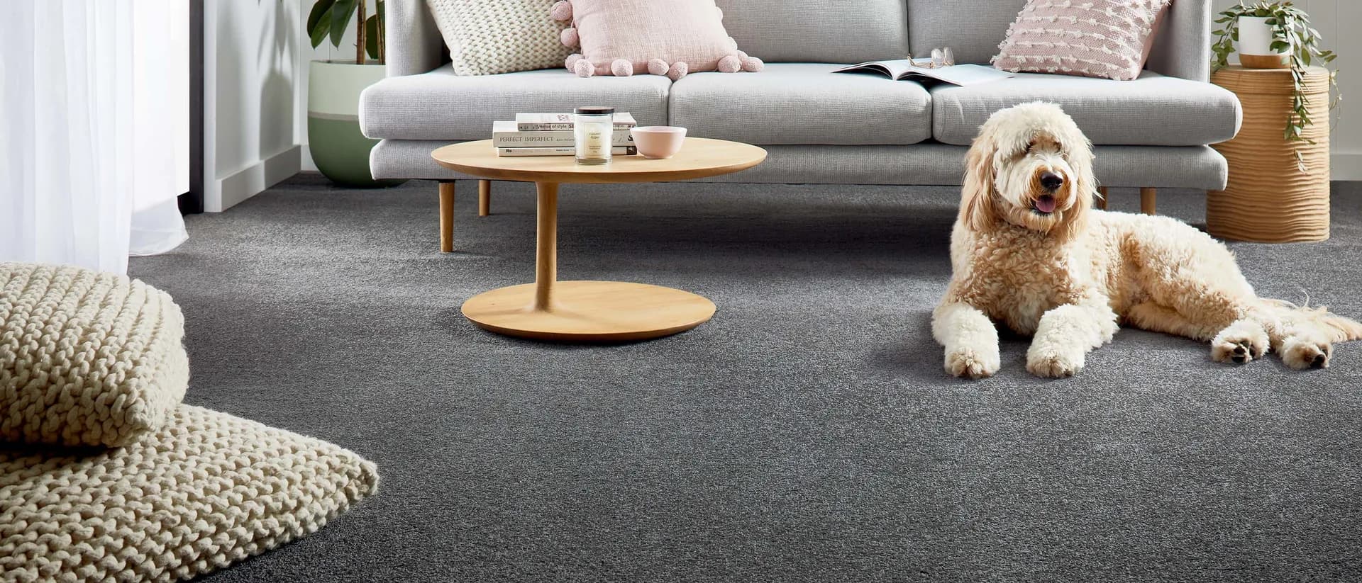 Entertaining — living room with grey sofa and dog on carpet