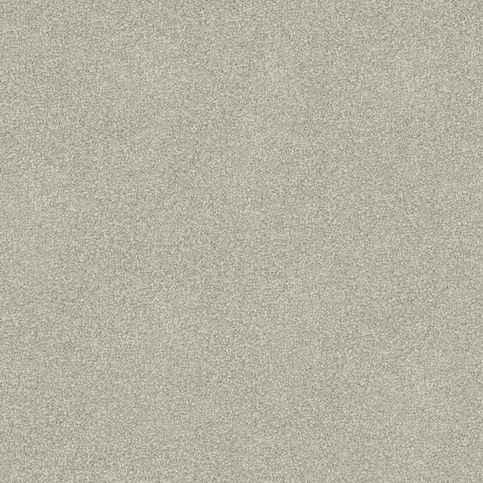 Cool Grey Freedom flooring swatch